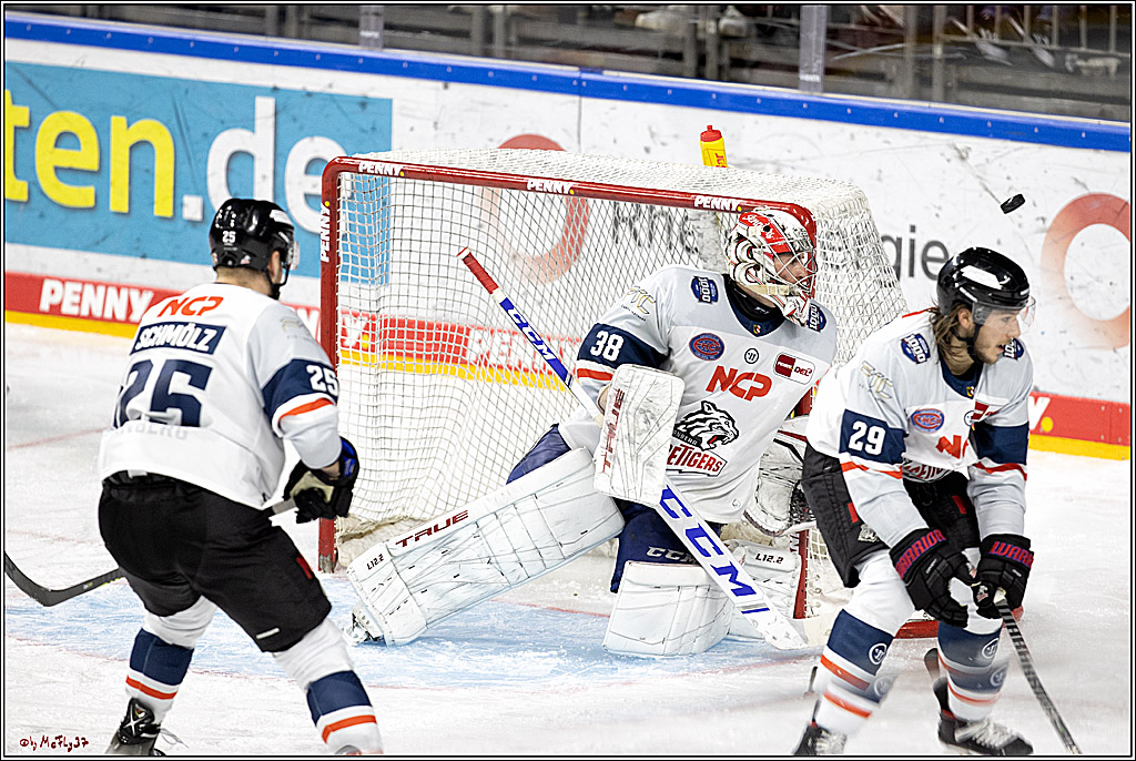 PENNY DEL;  Koelner Haie - Nuernberg Ice Tigers; Koeln, 03.12.2021